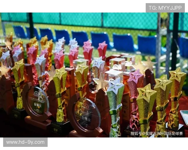 全面全方位走进元宝足球俱乐部官网精彩赛事文化深度探索指南全览